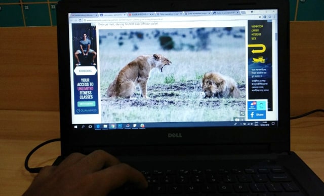 Singa jantan ketakutan (Foto: Repro foto dok. Caters News Agency)