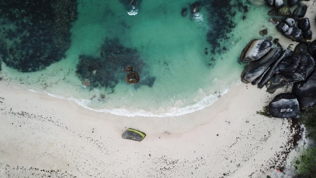 Pantai Tanjung Tinggi Foto: Antara/Rivan Awal Lingga