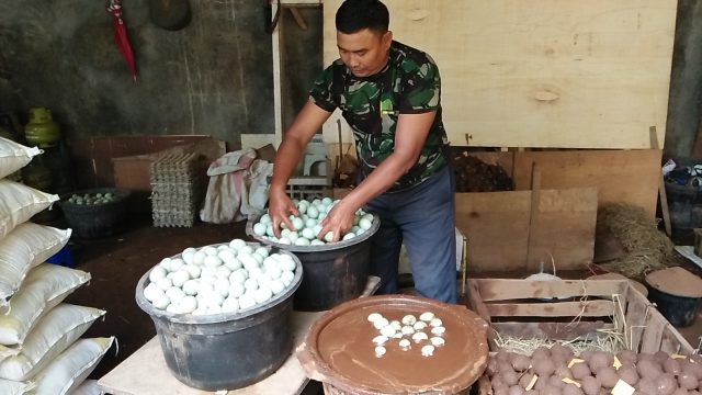 Jejak Pecinan dan Sejarah Telur Asin di Brebes (2)