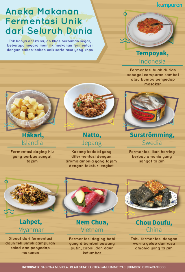 Infografik Makanan Fermentasi (Foto: Sabryna Putri Muviola)