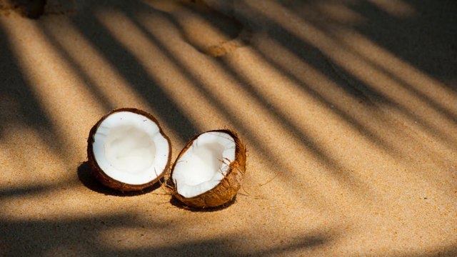 Air kelapa untuk ibu hamil (Foto: Pexels)