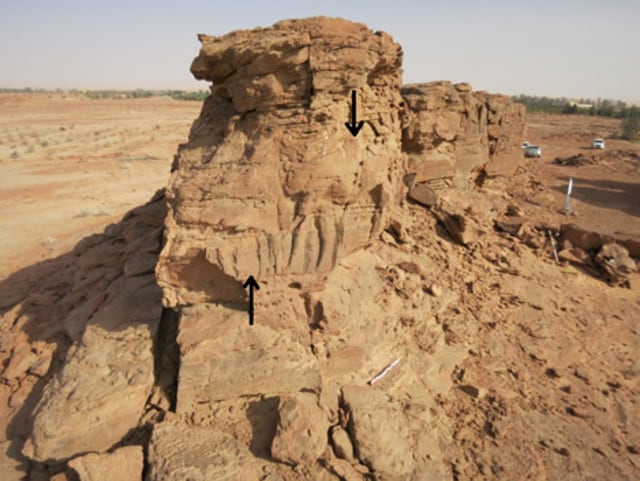 Batuan dengan ukiran unta.. (Foto: CNRS/MADAJ, R. Schwerdtner)