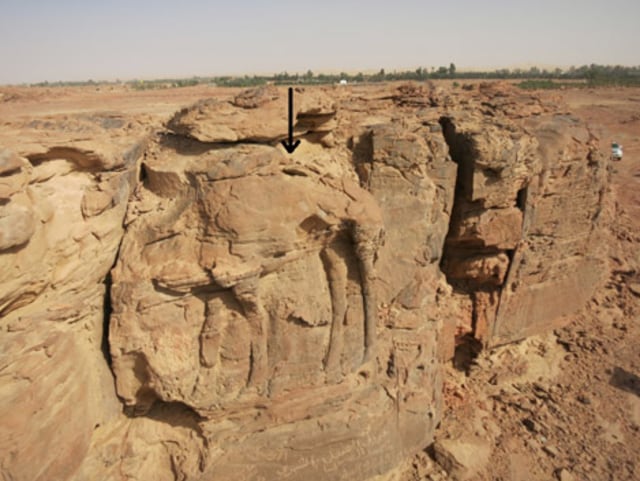 Batuan dengan ukiran unta.. (Foto: CNRS/MADAJ, R. Schwerdtner)