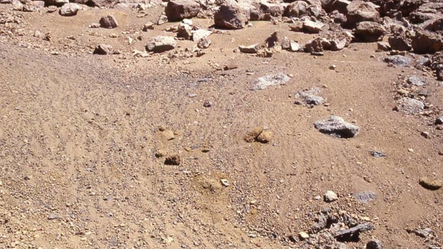 Lapisan tanah dan bebatuan di Mars. (Foto: NASA/JPL-Caltech)