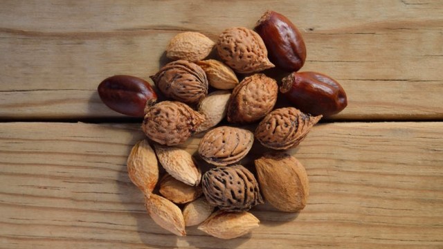 Kacang (Foto: Pixabay)