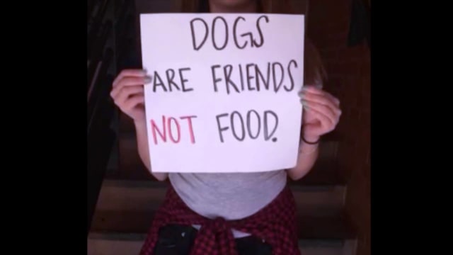 Negara Asia Pertama yang Melarang Konsumsi Daging Anjing dan Kucing