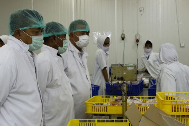 Video: Menengok Proses Ekspor Ikan Tuna Sumatera Barat ke Amerika Serikat