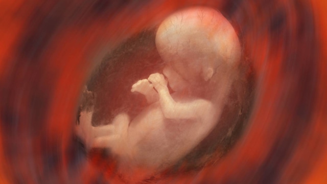 5 Hal yang Bisa Dilakukan Bayi di Dalam Kandungan (439779)