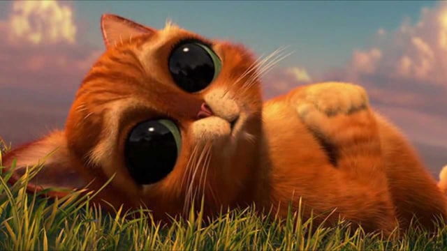 5 Film tentang Kucing yang Lucu nan Menggemaskan  kumparan.com