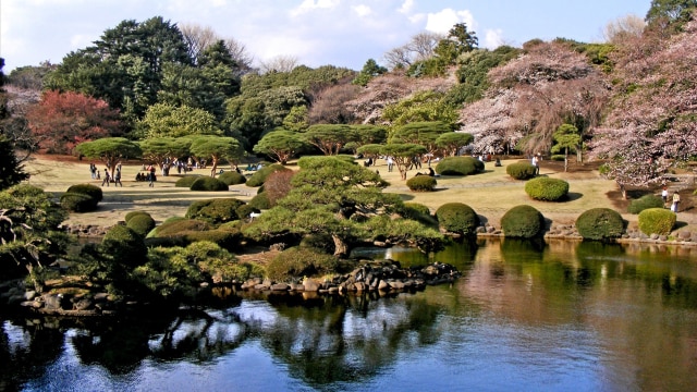 Shinjuku Gyoen National Garden, Jepang (Foto: Flickr @udie wijayadi )