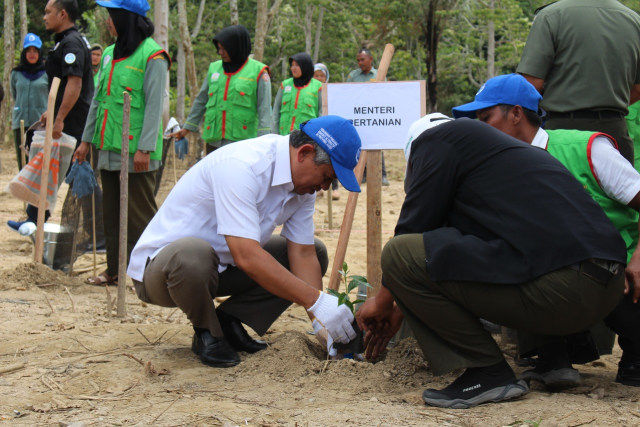 com-Menanam Kopi (Foto: Kementerian Pertanian)