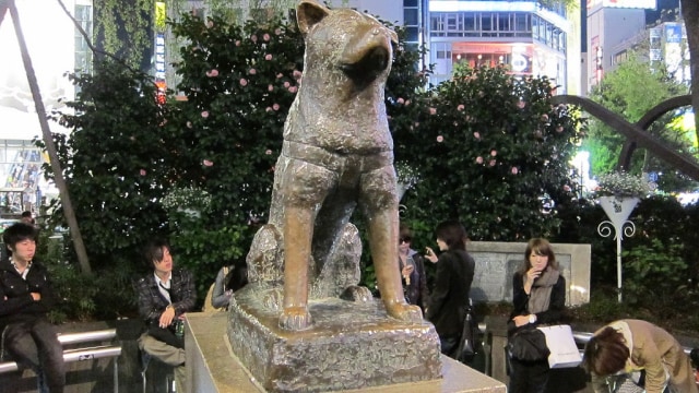 Patung Hachiko di Shibuya, Jepang (Foto: Flickr/Nick Gray)