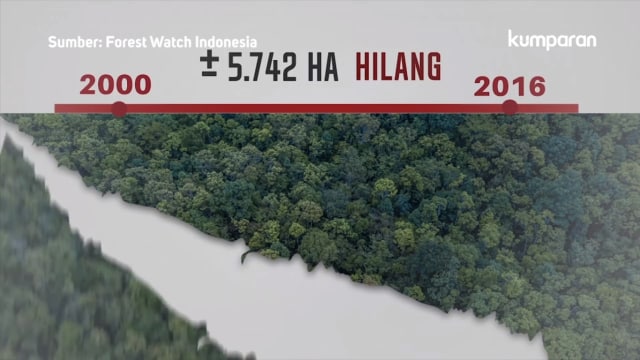 Deforestasi di Kawasan Puncak