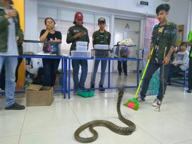 Membongkar Mitos dan Fakta Ular Melalui Edukasi Interaktif Bersama