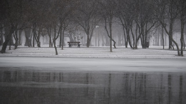 Musim dingin di Bucharest, Romania (Foto: AFP/Daniel Mihaelescu)