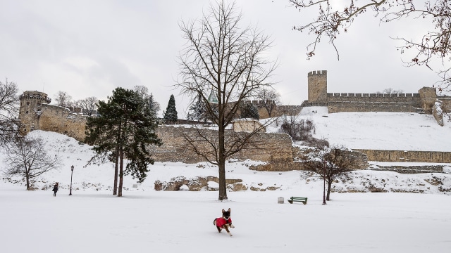 Musim dingin di Belgrade, Serbia (Foto: AFP/Andrej Isakovic)