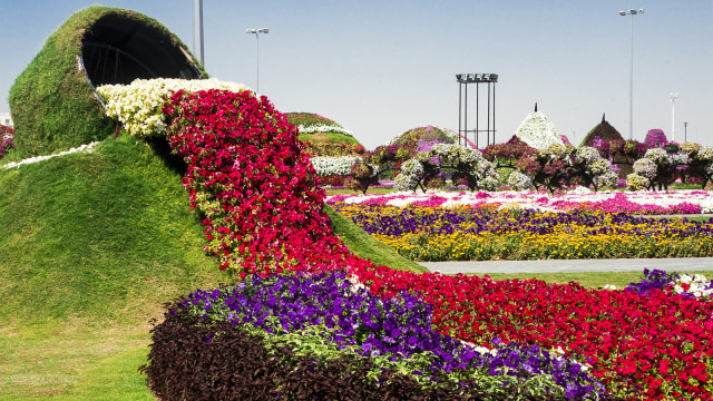 Dubai Miracle Garden (Foto: Flickr / Alfred Cheung)