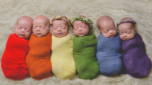 Enam bayi kembar  (Foto:  Ashley Sargent Photography)
