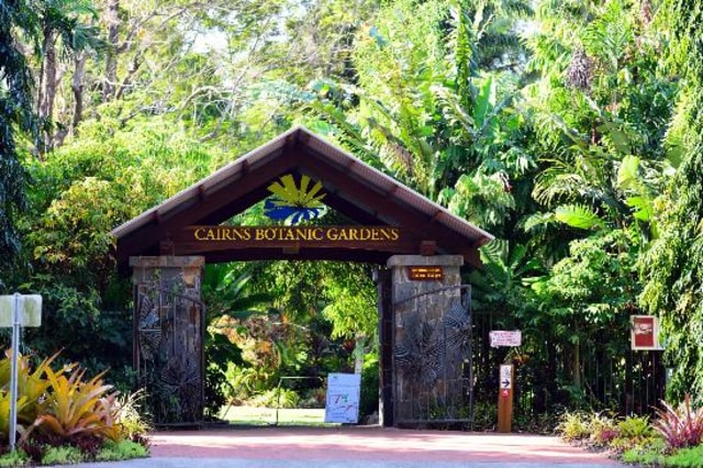 Cairns, Paket Lengkap Keindahan Alam, Kemajuan Teknologi, dan Pelestarian Lingkungan (3)