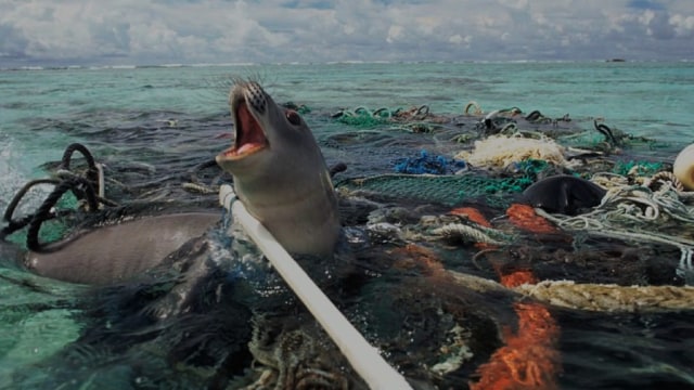 Kita, Laut dan Sampah Plastik 