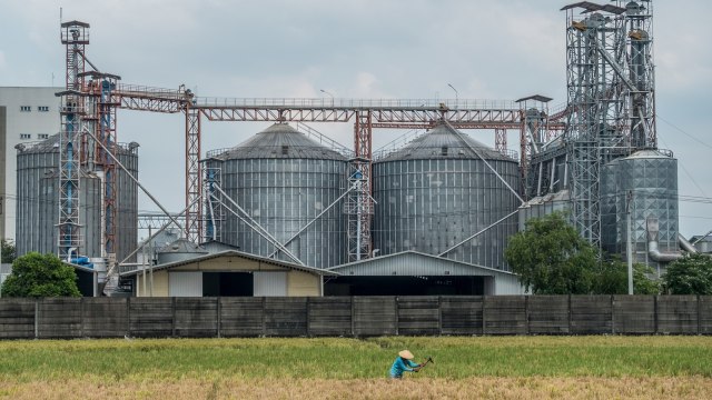 Wabah Penyakit Langka Brucellosis Menyebar di China, Ini Penyebabnya (17200)