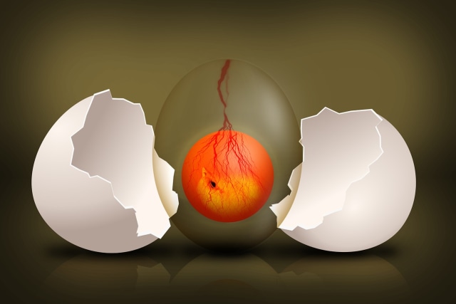 Ilustrasi embrio. Foto: Pixabay/ Comfreak