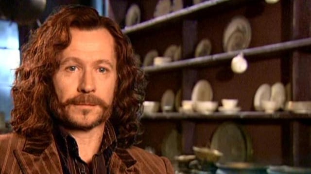 Gary Oldman di film Harry Potter. (Foto: dok. Wikia)