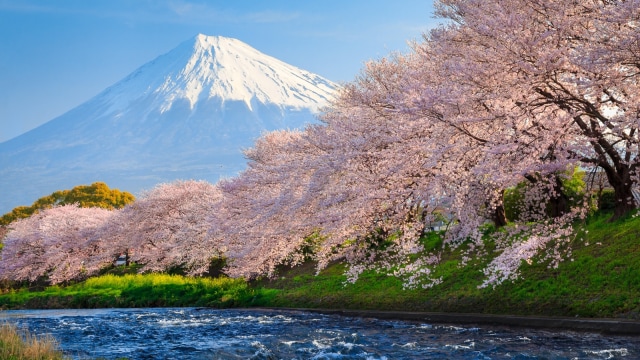 Gunung Fuji (Foto: Flickr/Abubakr bapir)