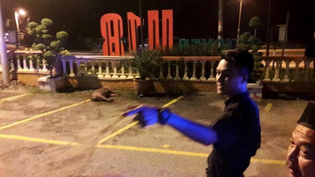 Babi hutan masuk Masjid Malaysia. (Foto: Facebook/Nizam Ayu)