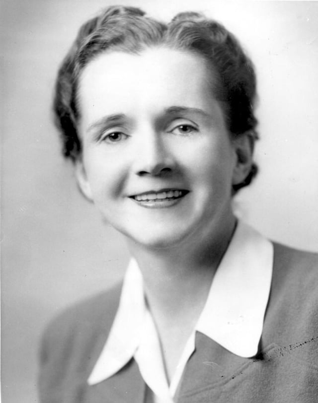 Rachel Carson. (Foto: wikimedia commons)
