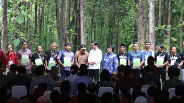 Jokowi Harap Rakyat Manfaatkan Hutan dengan Arif (Foto: Phaksy Sukowati/kumparan)