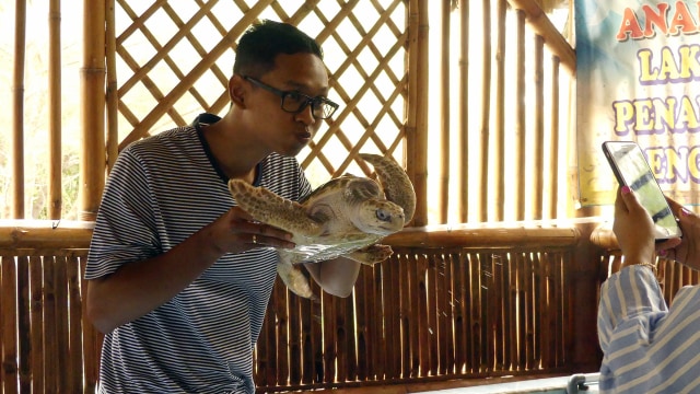 Wisata Berbasis Konservasi Penyu di Pantai Cemara Banyuwangi (8101)