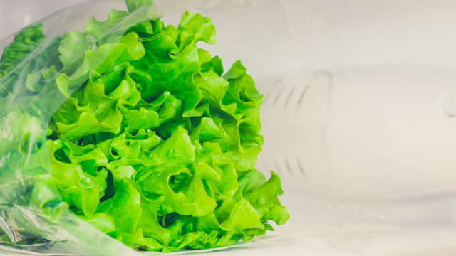 Tips agar selada tetap renyah. (Foto: Thinkstock)