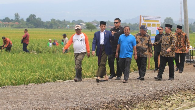 Jokowi tinjau pembangunan irigasi di Cirebon (Foto: ANTARA FOTO/Dedhez Anggara)
