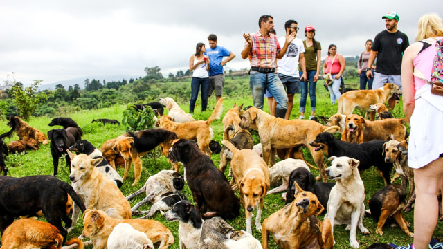 Wisatawan di Territorio De Zaguates (Foto: Flickr / UNC Charlotte International)