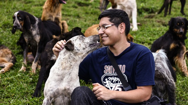 Territorio De Zaguates (Foto: Flickr / UNC Charlotte International)