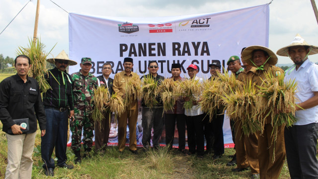Petani Aceh siapkan 1000 ton beras untuk Suriah (Foto: Zuhri Noviandi/kumparan)