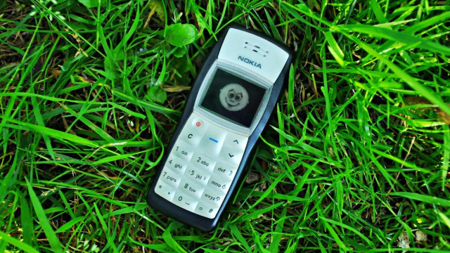 Nokia 1100. (Foto: Wikimedia Commons)