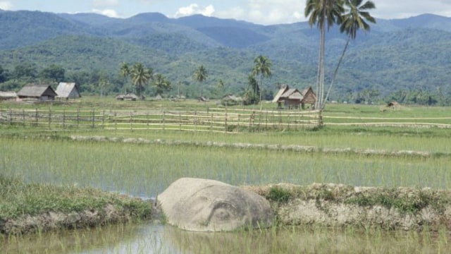Lore Lindu, 'Monumen' Megalith dari Palu (Foto: Filckr)