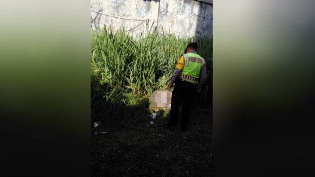 Penemuan mayat wanita muda di Cibinong. (Foto: Dok. Istimewa)