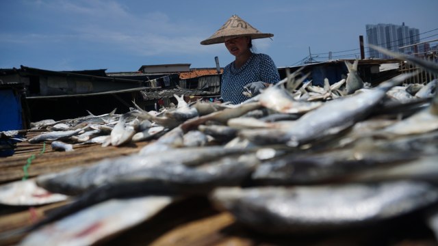 Penjualan Ikan Tembus hingga Pasar Lampung. (Foto: Jamal Ramadhan/kumparan)
