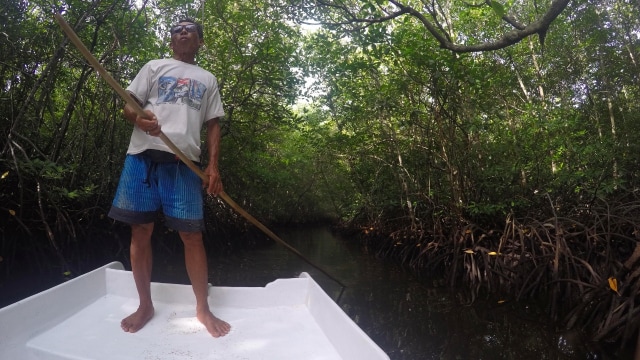 Wisata Hutan Mangrove Jungut Batu. (Foto: Intan Alfitry Novian/kumparan)