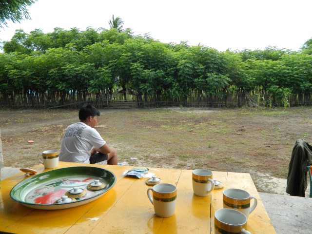 The Memorable Journey, Salura yang Ramah (2)