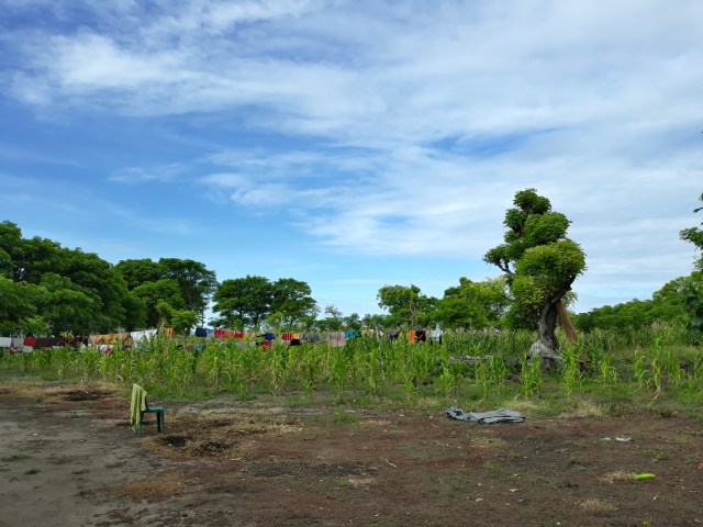 The Memorable Journey, Salura yang Ramah (1)