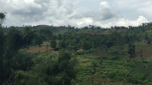 Kawasan hulu Sungai Cipamokolan, Bandung. (Foto: Iqbal Tawakal/kumparan)