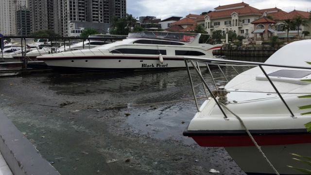 Air di Dermaga Marina surut. (Foto: Fachrul Irwinsyah/kumparan)