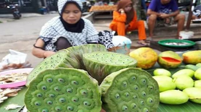 Buah palilak. (Foto: Facebook Dhidie Ananda)