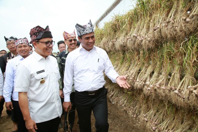 Mentan Yakin Banyuwangi Jadi Produsen Bawang Putih Andalan | Kumparan.com