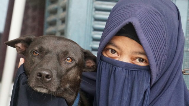 Hesti Sutrisno merawat 11 anjing dan 20 kucing Foto: Helmi Afandi Abdullah/kumparan