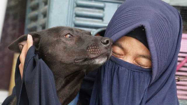 Hesti Sutrisno merawat 11 anjing dan 20 kucing (Foto: Helmi Afandi Abdullah/kumparan)